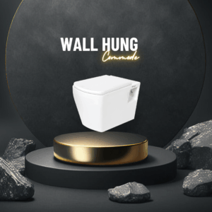 Wall Hung Commode